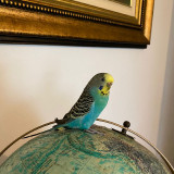 meetsphillip